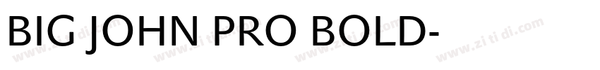 BIG JOHN PRO BOLD字体转换